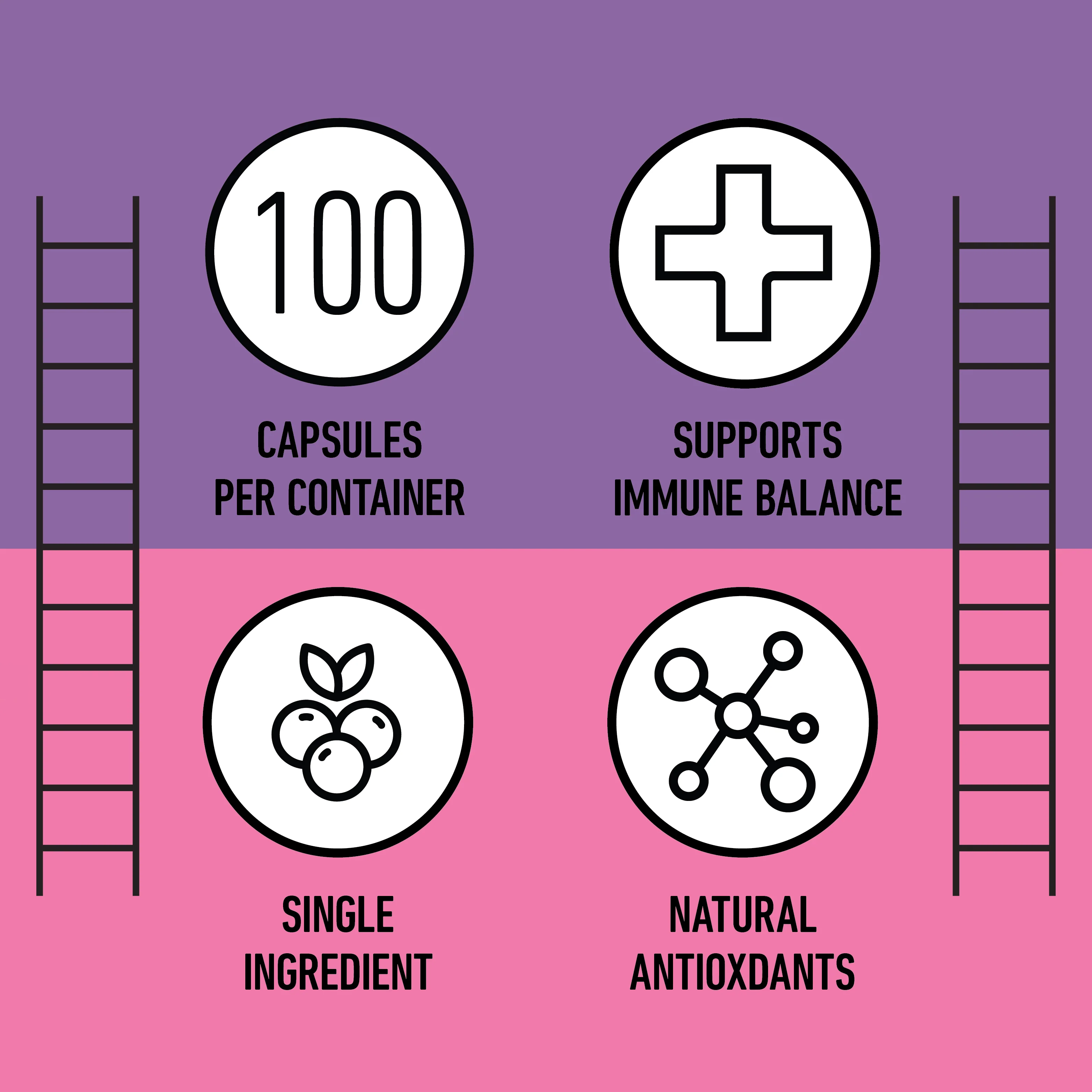 Organic Elderberry Capsules - Image 8