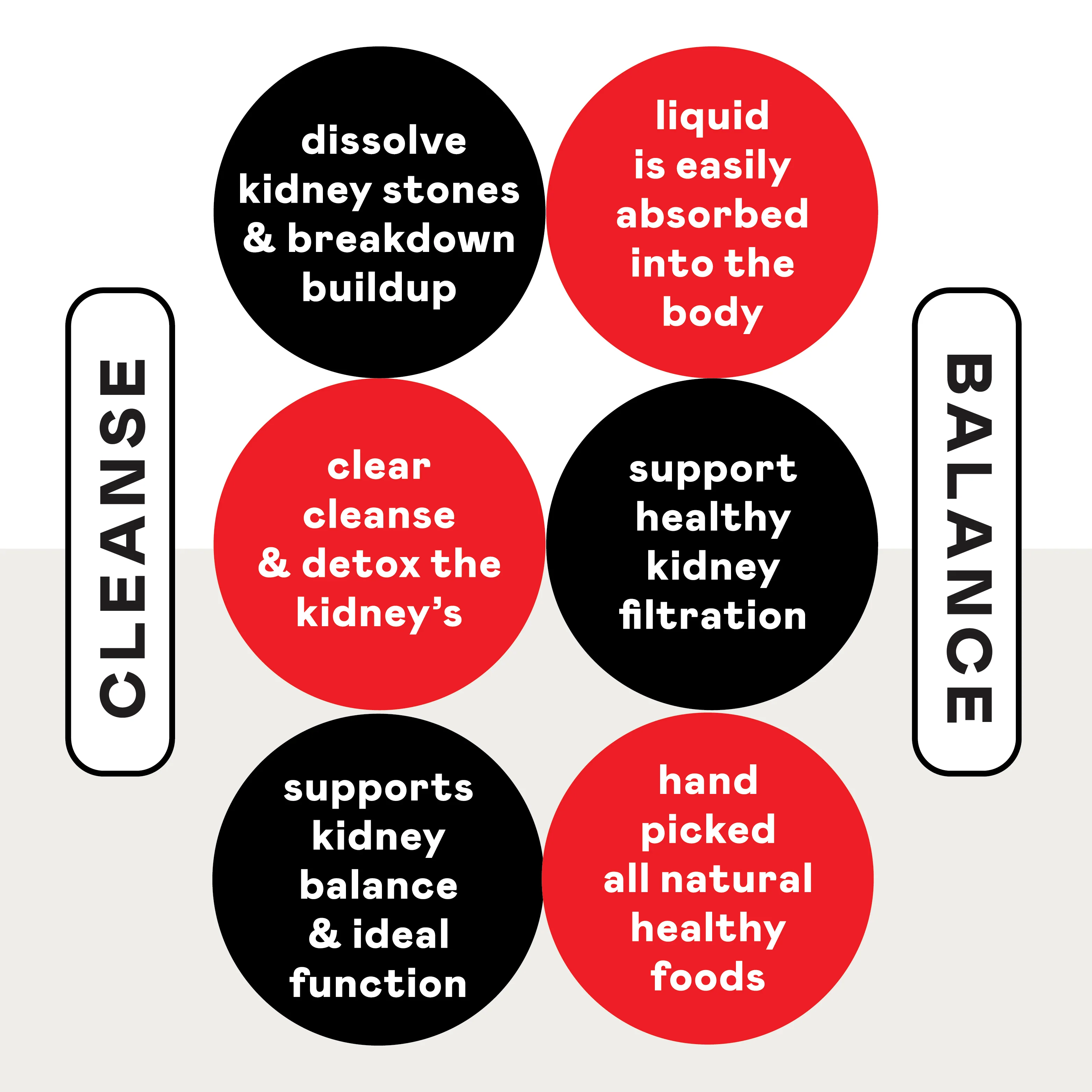 Kidney Complete - Image 6