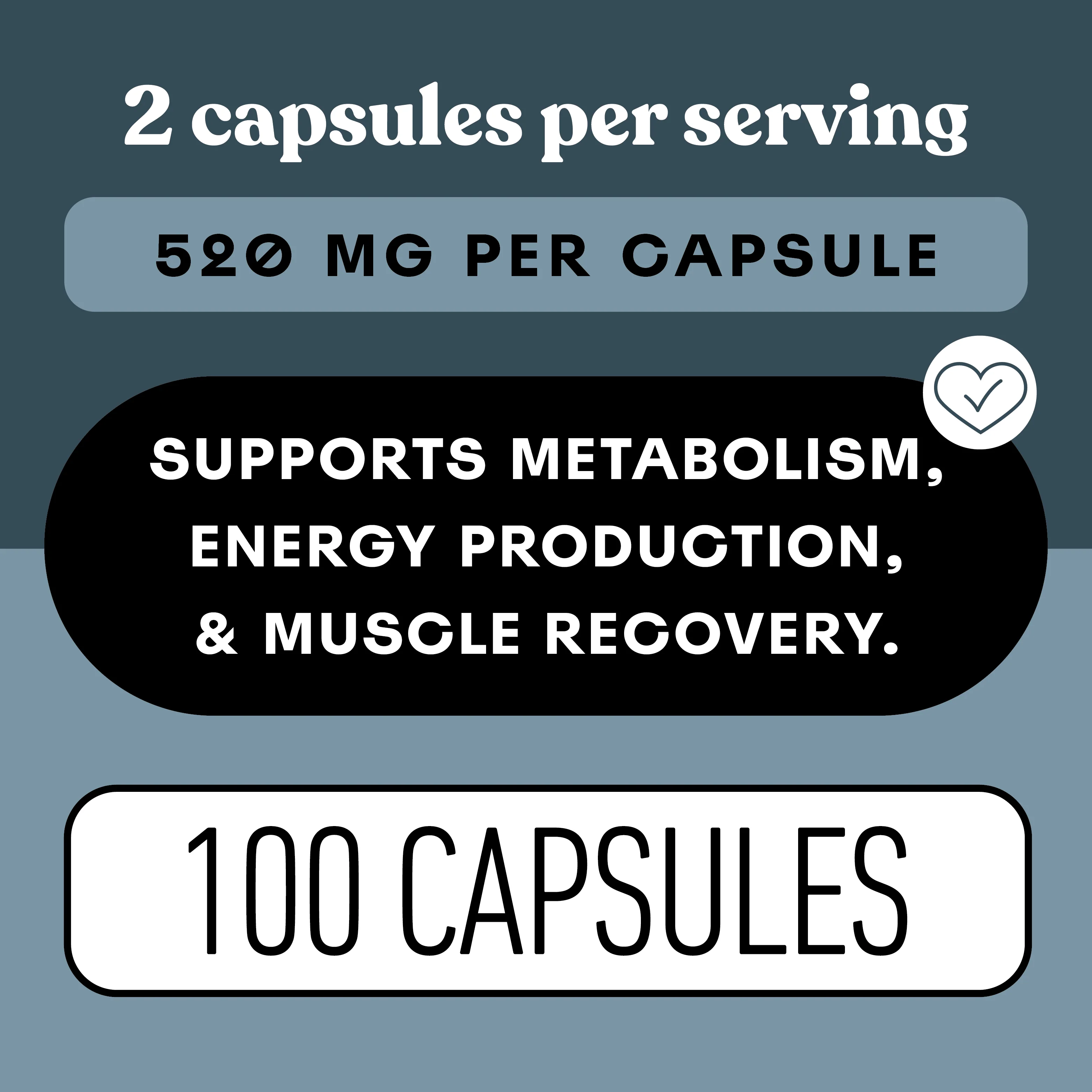 L-Carnitine Capsules - Image 5
