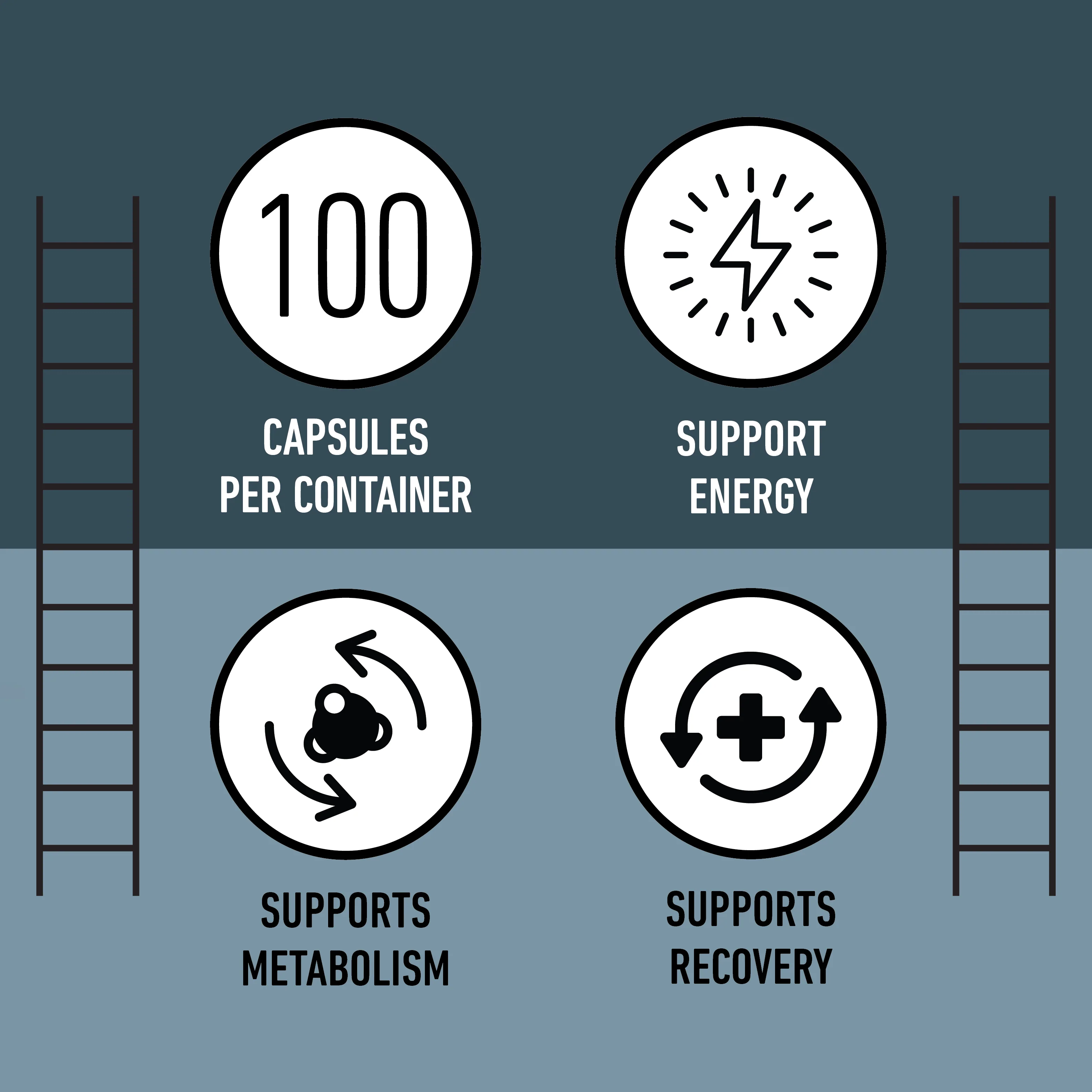 L-Carnitine Capsules - Image 8