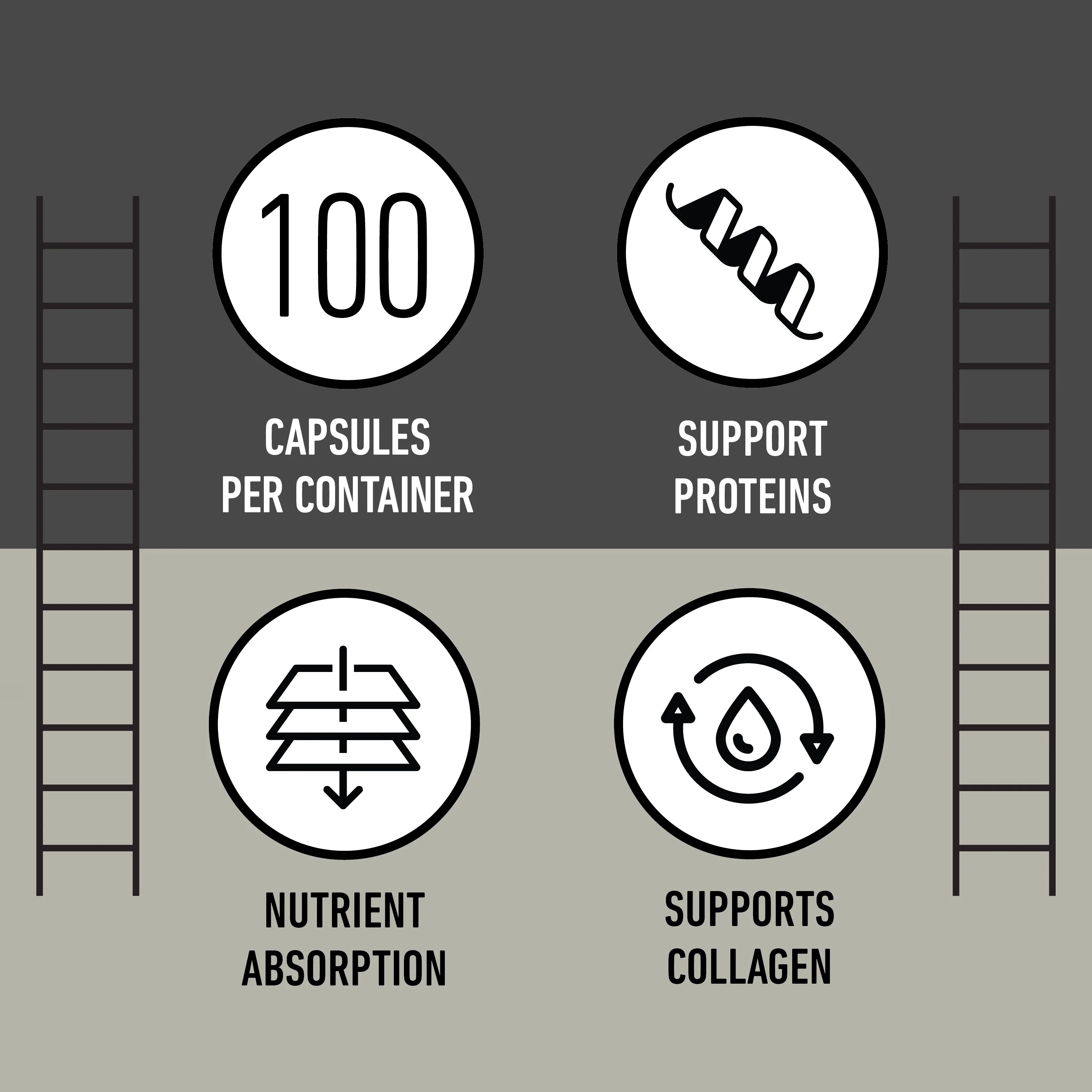 L-Lysine Capsules - Image 8