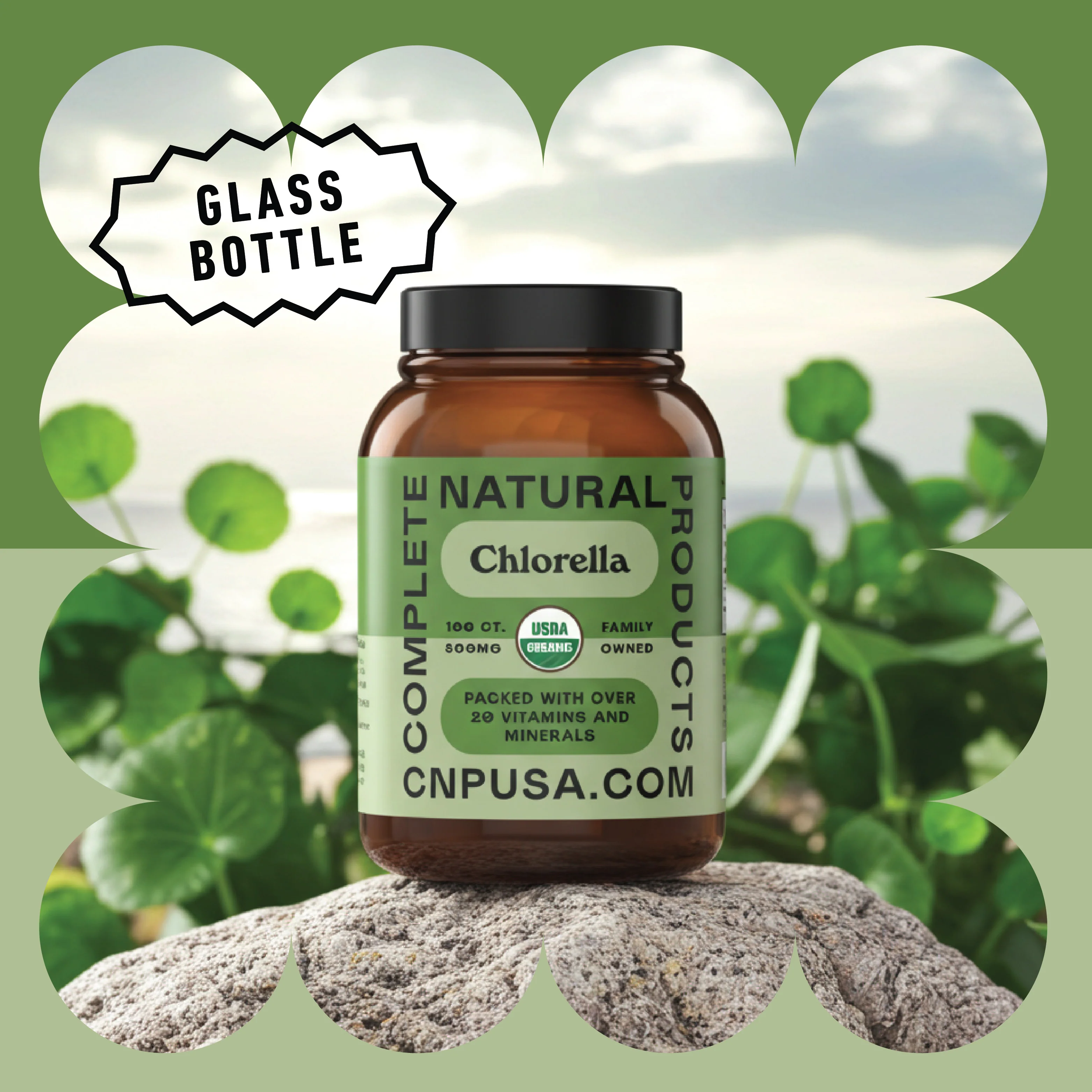 Organic Chlorella Capsules - Image 4