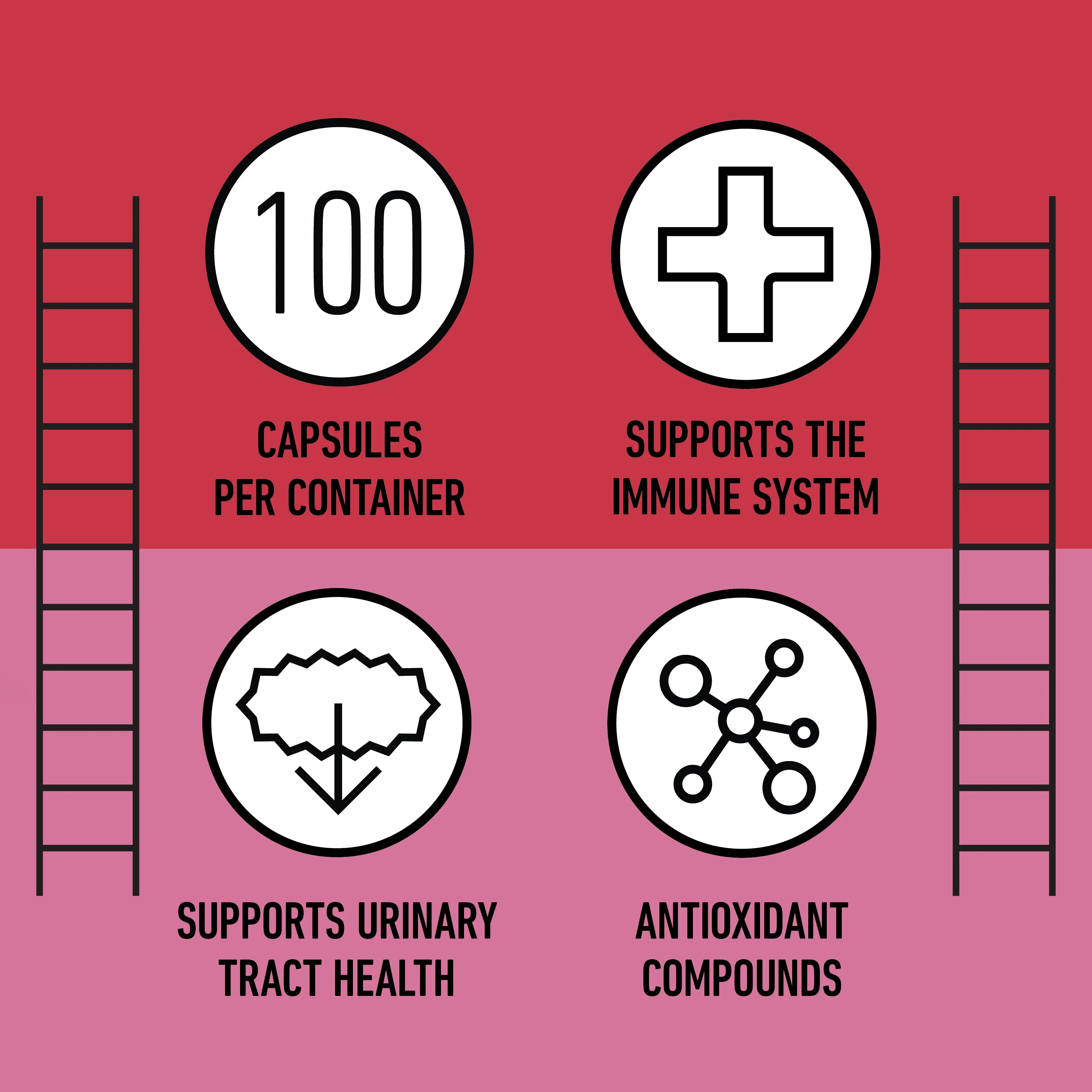 Organic Cranberry Capsules - Image 8