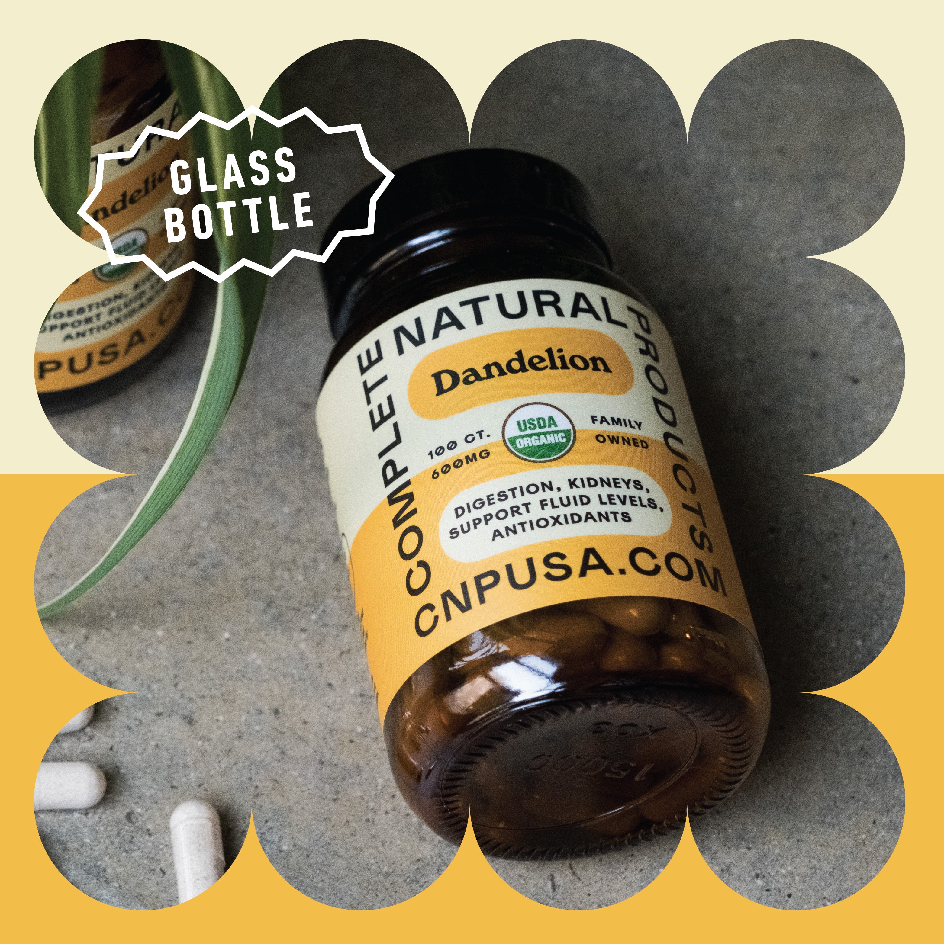 Organic Dandelion Capsules - Image 4