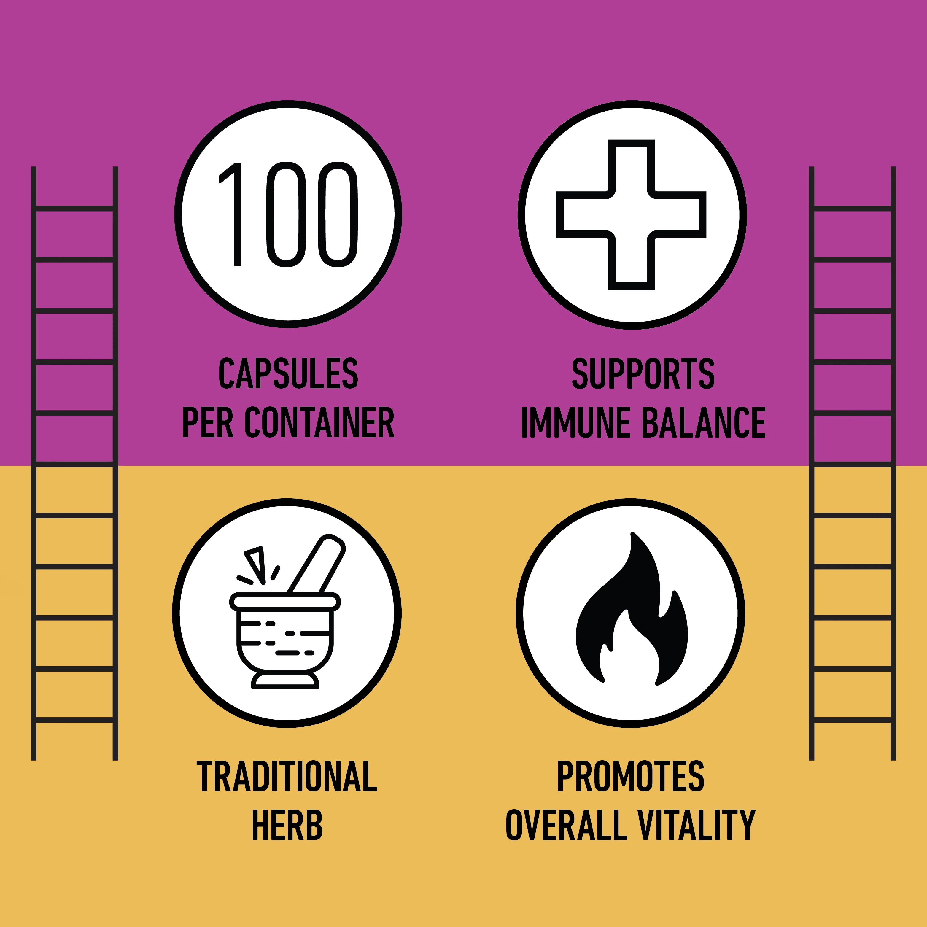 Organic Echinacea Capsules - Image 8