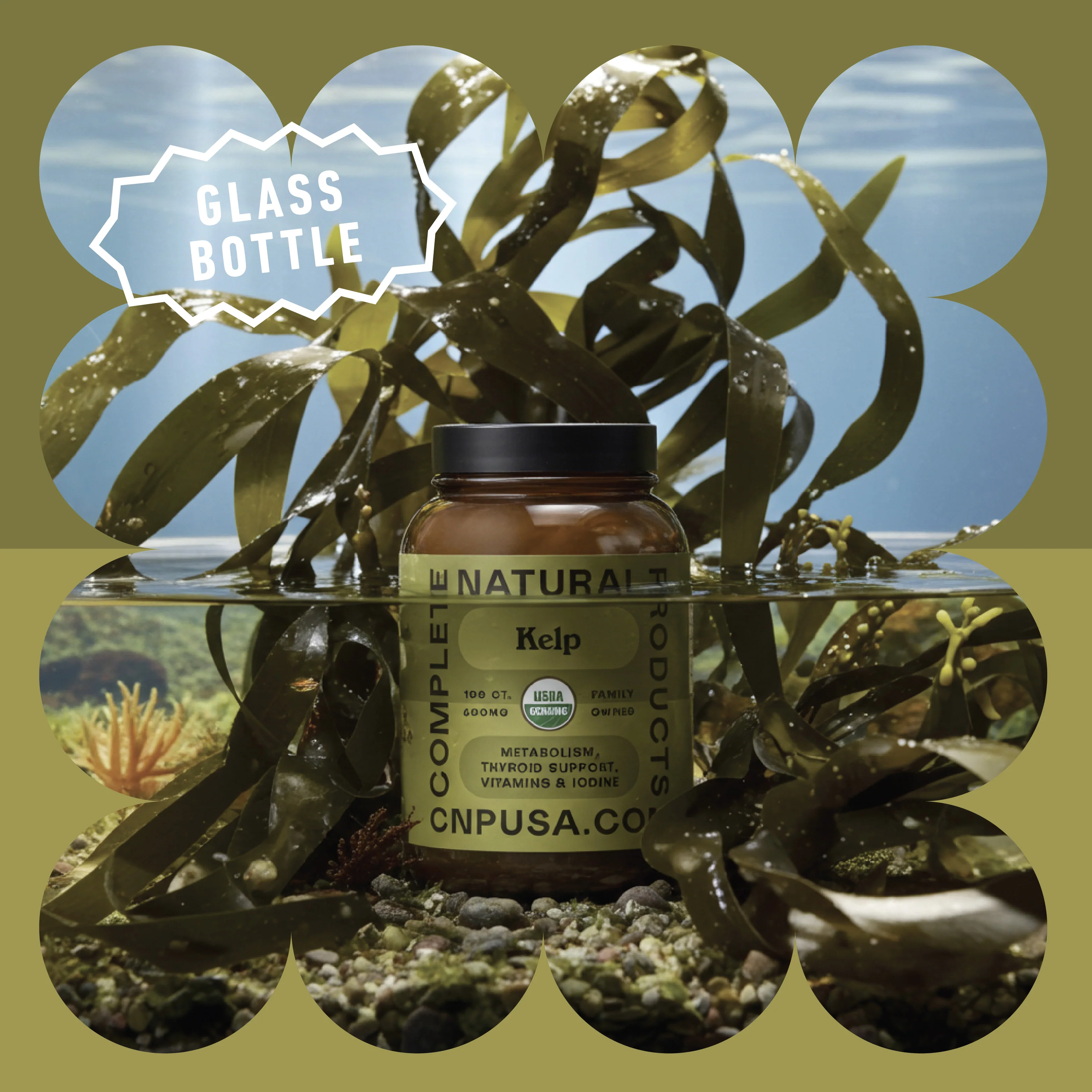 Organic Kelp Capsules - Image 4
