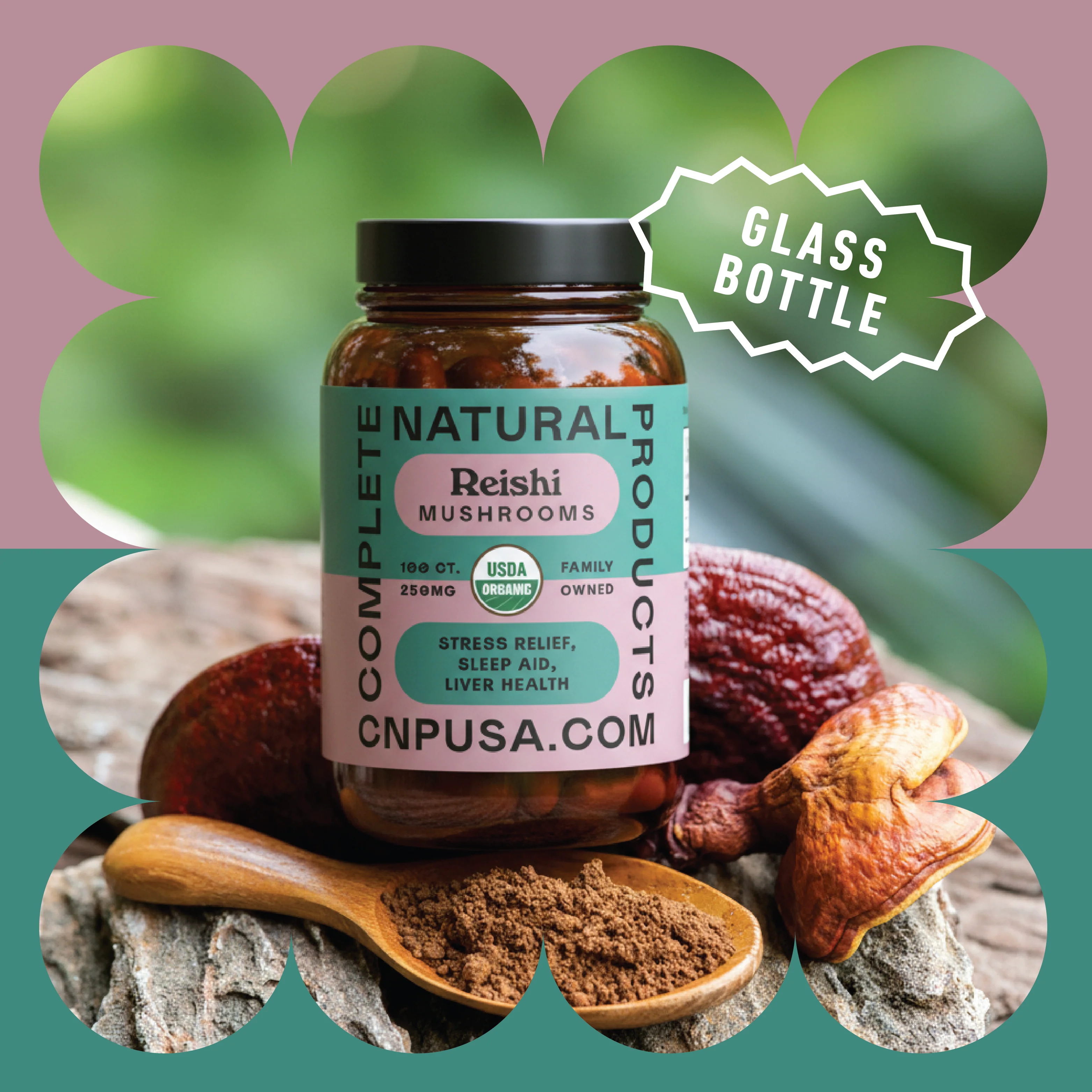 Organic Reishi Capsules - Image 4