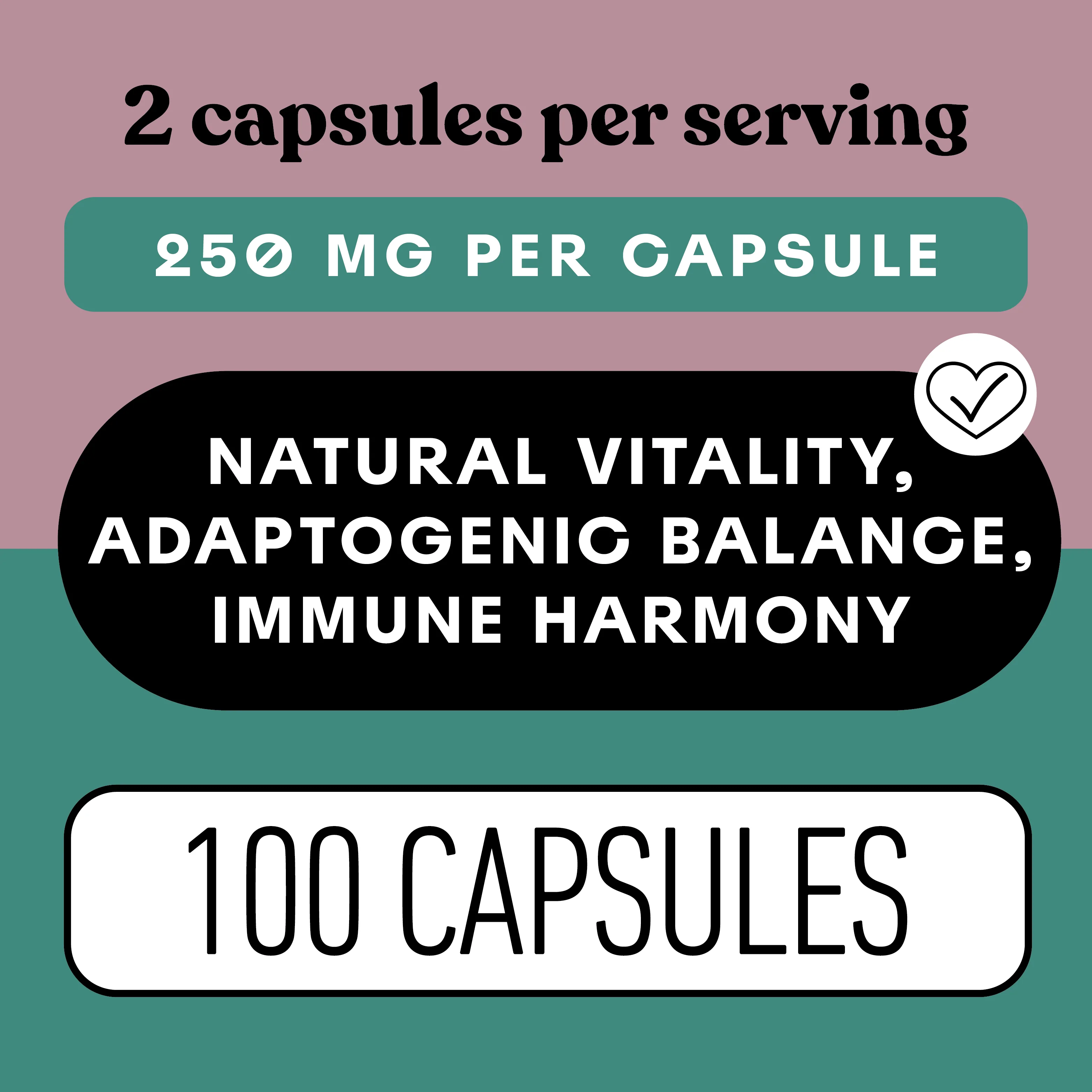 Organic Reishi Capsules - Image 5