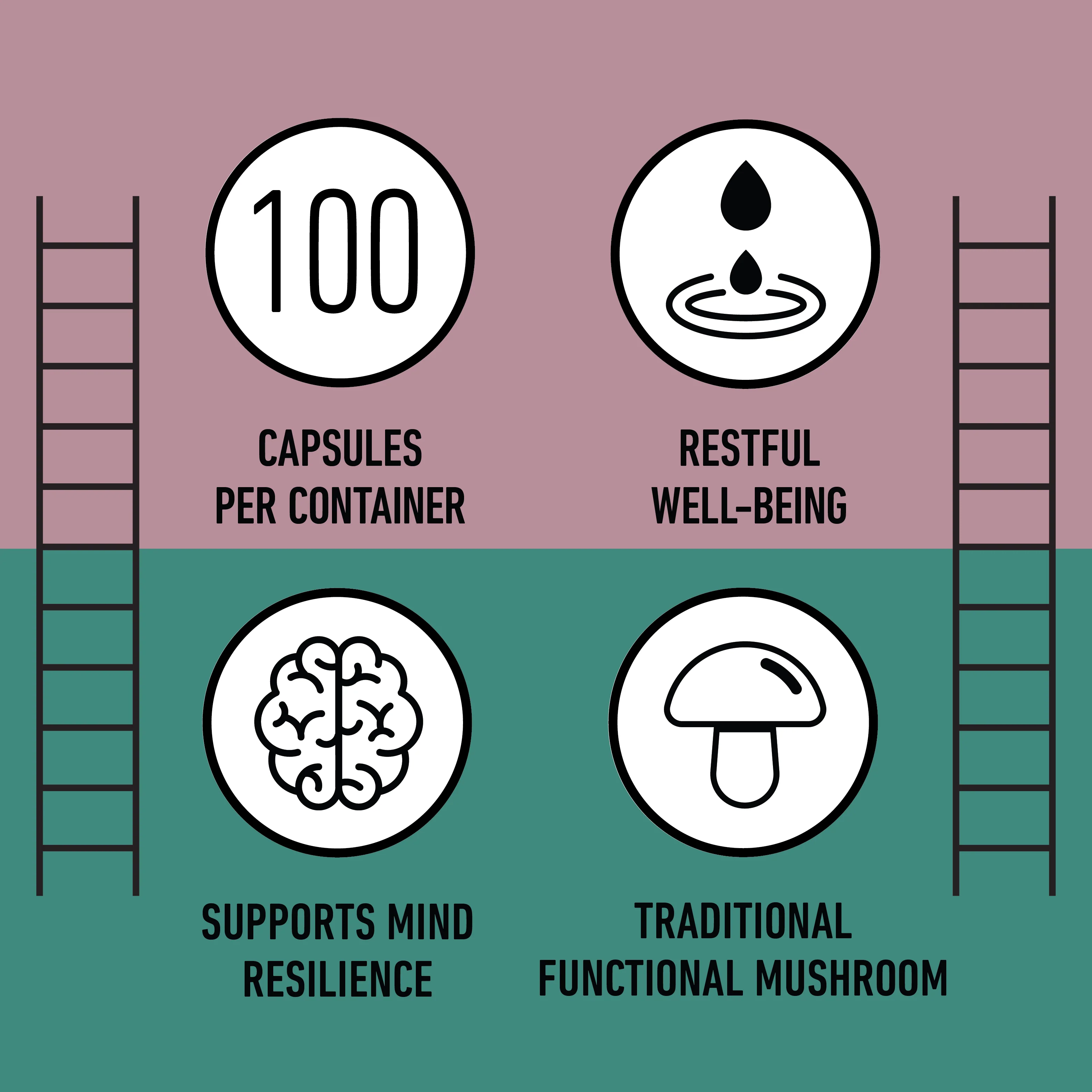 Organic Reishi Capsules - Image 8